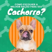 Pack Canva Pet Shop + 200 Artes para Instagram
