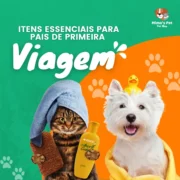 Pack Canva Pet Shop Modelo Feed 1